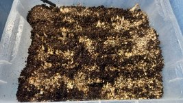 WhatsApp Image 2023-05-18 at 20.55.01.jpeg