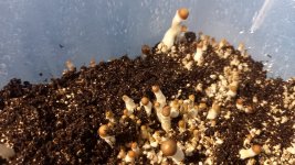 WhatsApp Image 2023-05-18 at 20.55.02.jpeg