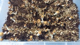 WhatsApp Image 2023-05-23 at 07.34.09.jpeg