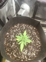 photo_2023-05-26_22-44-37 (2).jpg