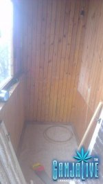 IMAG0419.jpg IMAG0419.jpg