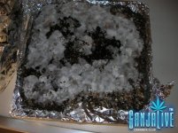 DSCN3865.JPG
