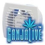 i.jpg i.jpg