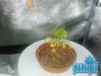 CAM00686.jpg