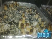 Фото1196.jpg