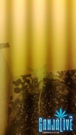 WP_20131113_003.jpg