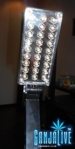DSCN5659.jpg