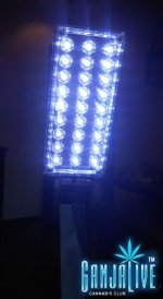 DSCN5661.jpg