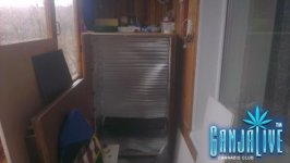 IMAG0454.jpg