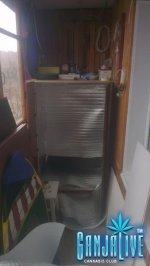 IMAG0455.jpg