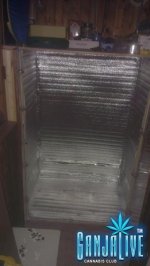 IMAG0457.jpg