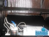 DSCN5803.JPG