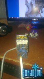 IMAG04611.jpg