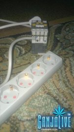 IMAG04621.jpg
