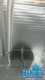IMAG04651.jpg