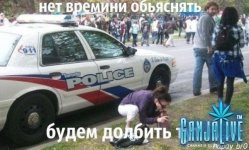 i1s-t0QJYpg.jpg