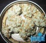 super-sour-og-8.jpg