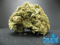 super-sour-og-6.jpg