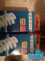 CAM00350.jpg