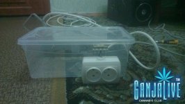 IMAG04691.jpg