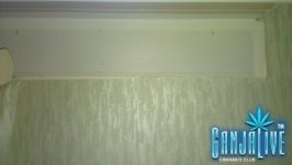 IMAG04751.jpg