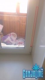 IMAG0476.jpg