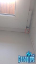 IMAG0477.jpg