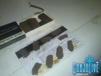 CAM002891.jpg