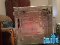 CAM003611.jpg