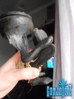 DSCN6276.JPG