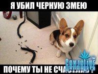 yumora-nemnogo-kartinki-smeshnye-kartinki-fotoprikoly_545316964.jpg