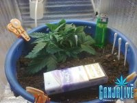 03012014742.jpg