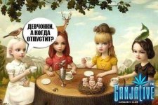 2614830.jpg 2614830.jpg