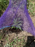 IMG_0955.jpeg