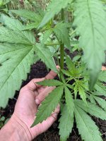 IMG_1039.jpeg