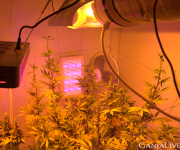 Screenshot 3 (1).png