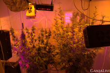 Screenshot 2 (1).png