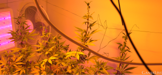 Screenshot 4 (1).png