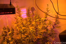 Screenshot 5 (1).png