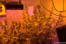 Screenshot 6 (1).png