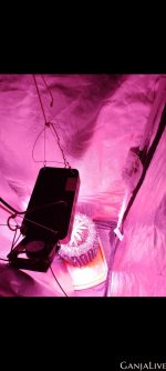 Screenshot 20230505 221001 Gallery (1).jpg