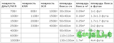 gallery_80477_223_1262 (1).png