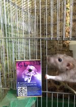 IMG_6322.jpeg