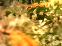 Photo_2023-08-22 07_15_12_162.png