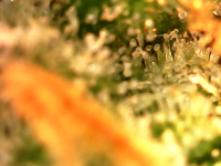 Photo_2023-08-22 07_15_05_931.png