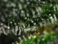 Photo_2023-08-22 07_17_54_391.png