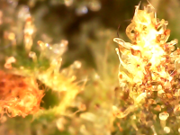 Photo_2023-08-22 07_15_31_761.png