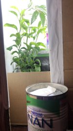 IMG_6427.jpeg