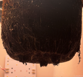 ХАРВЕСТ (грунт).png