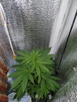 IMG_20230919_182743.jpg